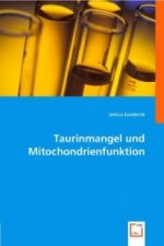 Taurinmangel und Mitochondrienfunktion