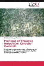 Praderas de Thalassia testudinum. Córdoba-Colombia