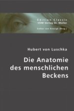 Die Anatomie des menschlichen Beckens