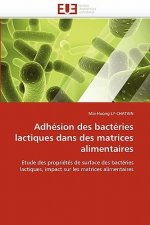 Adhesion des bacteries lactiques dans des matrices alimentaires