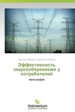 Effektivnost' Energosberezheniya U Potrebiteley