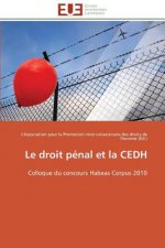 Droit P nal Et La Cedh