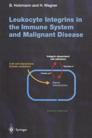 Leukocyte Integrins in the Immune System and Malignant Disease