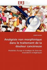 Analg sie Non Morphinique Dans Le Traitement de la Douleur Canc reuse