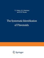 Systematic Identification of Flavonoids