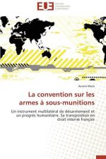 Convention Sur Les Armes a Sous-Munitions