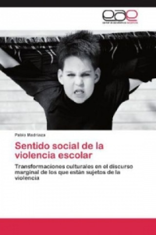 Sentido social de la violencia escolar