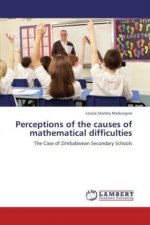 Perceptions of the causes of mathematical difficulties