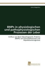 BMPs in physiologischen und pathophysiologischen Prozessen der Leber