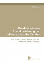 Dreidimensionale Charakterisierung der Mikrostruktur des Dentins