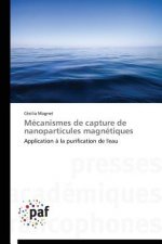 Mecanismes de Capture de Nanoparticules Magnetiques