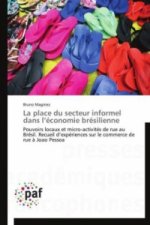 La place du secteur informel dans l économie brésilienne