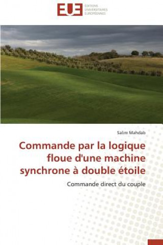 Commande Par La Logique Floue d'Une Machine Synchrone   Double  toile