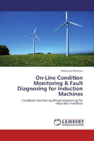 On-Line Condition Monitoring & Fault Diagnosing for Induction Machines