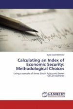 Calculating an Index of Economic Security: Methodological Choices