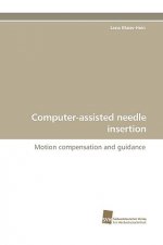 Computer-Assisted Needle Insertion