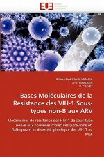 Bases moleculaires de la resistance des vih-1 sous-types non-b aux arv