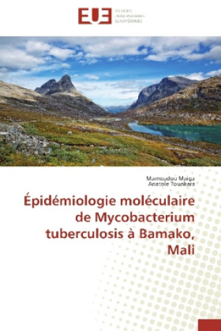 Épidémiologie moléculaire de Mycobacterium tuberculosis à Bamako, Mali