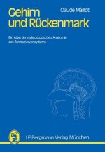 Gehirn und Ruckenmark