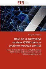 R le de la Sulfhydryl Oxidase Qsox Dans Le Syst me Nerveux Central