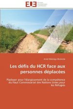 Les defis du hcr face aux personnes deplacees