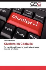 Clusters En Coahuila