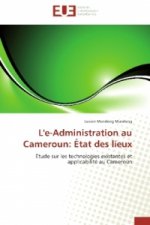 L'e-Administration au Cameroun: État des lieux