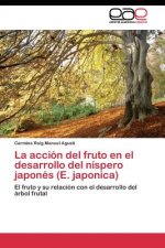 accion del fruto en el desarrollo del nispero japones (E. japonica)