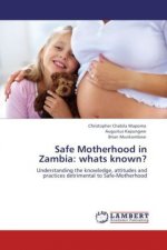 Safe Motherhood in Zambia: whats known?