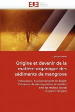Origine et devenir de la matiere organique des sediments de mangrove