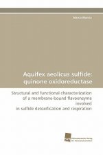 Aquifex Aeolicus Sulfide