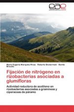 Fijacion de nitrogeno en rizobacterias asociadas a glumifloras