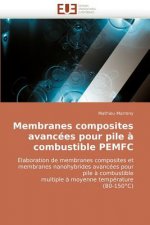Membranes composites avancees pour pile a combustible pemfc