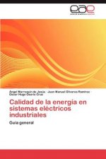 Calidad de la energia en sistemas electricos industriales