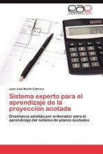 Sistema experto para el aprendizaje de la proyeccion acotada