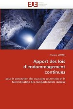 Apport Des Lois d''endommagement Continues