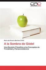 la Sombra de Goedel