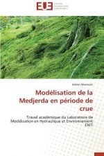 Modelisation de la medjerda en periode de crue