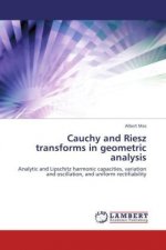 Cauchy and Riesz transforms in geometric analysis