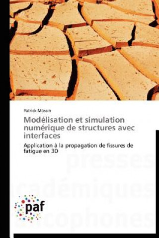 Modelisation Et Simulation Numerique de Structures Avec Interfaces