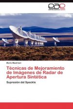 Tecnicas de Mejoramiento de Imagenes de Radar de Apertura Sintetica