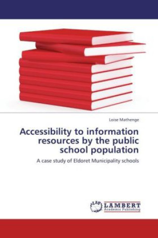 Accessibility to information resources by the public school population