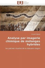 Analyse Par Imagerie Chimique de M langes Hybrides