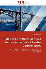 Roles des ultrafines dans les betons industriels a hautes performances