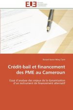 Cr dit-Bail Et Financement Des Pme Au Cameroun