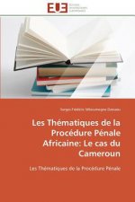 Les Th matiques de la Proc dure P nale Africaine