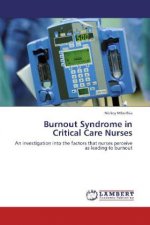Burnout Syndrome in Critical Care Nurses