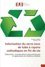 Valorisation du verre issus de tube a rayons cathodiques en fin de vie