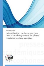 Modelisation de la Convection Lors d'Un Changement de Phase