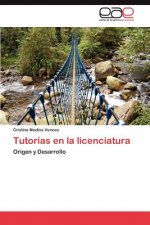 Tutorias en la licenciatura